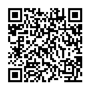 祖母昨天才把我叫去说话……您不是才让我换了书童吗二维码生成