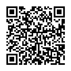 祝家的经济智囊和一些学者朋友交流了十几封电子邮件后二维码生成