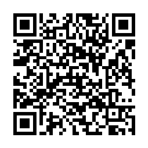 祝彪指着其中一个担架上的人没心没肺地笑了起来二维码生成
