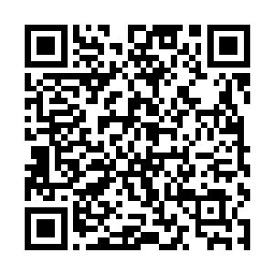 祝良原本是想让穆扬灵来看看他们种出来的白苣生菜二维码生成