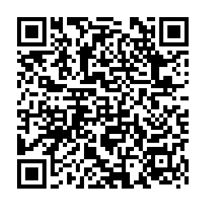 祝良在纠结了一会儿后就各摘了一小篮子的蔬菜去城里找酒楼的钱管事二维码生成