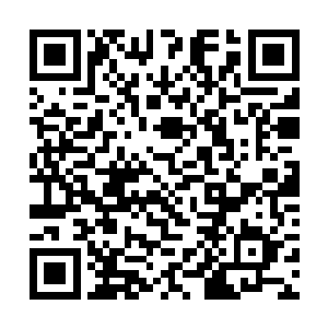 祝融族和青木族的云台之上各自坐着三个圣级大修士二维码生成