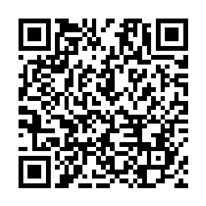 祝融族这七个天尊后期巅峰大修士自然也都参加了大比二维码生成