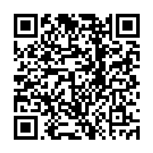 神不知鬼不觉地释放出一丝血脉之力发出轻微抖动二维码生成