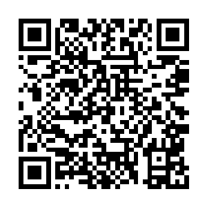 神之领域在实力相当之人的战斗当中就没有用了二维码生成