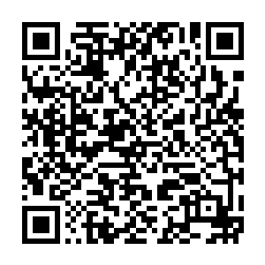 神兽……召唤出神兽……你还能……还能编造出更离谱的笑话来吗二维码生成