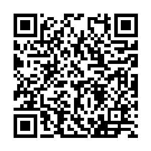 神兽都诡异的消失了……连灵兽的数量都少得可怜二维码生成