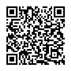 神医府之中有一片药田里面种着许多的奇花异草二维码生成