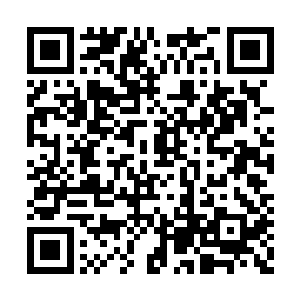 神卫生中心实行军事化管理也是这几个月的事情二维码生成