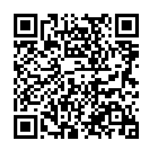 神圣大礼堂现场许多观众都纷纷举起了自己的右手二维码生成