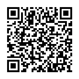 神域三王将所有实力全部投入到了这场战斗当中二维码生成