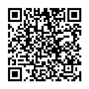 神塔帝君这才意识到眼前这位已经是皇朝的新掌控者二维码生成