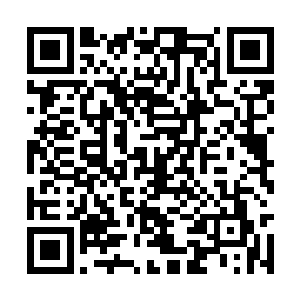神官们以虔诚的信仰源源不断地为他提供信仰之力二维码生成