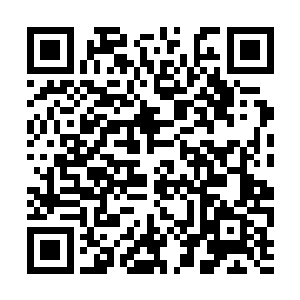 神将大人周承宗神情不虞地来到周老爷子的外书房二维码生成