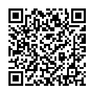 神将神王在整个界面转一圈只需要几十个时辰吧二维码生成