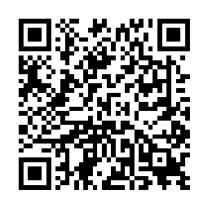 神州最不缺少的就是那些境界在一个位置数十万年的高手二维码生成