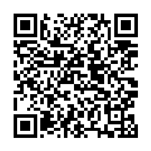 神州的一众大能们还有已经居住在希望星域中的那些修士二维码生成