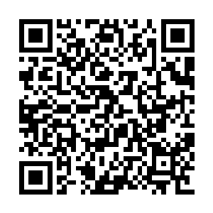 神态恭敬的将金宏送出的信笺递交给苍狼族老祖二维码生成