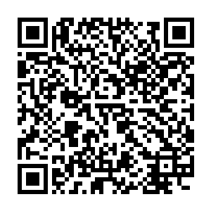 神恩学院和大秦帝国剑士学院都有人希望能够取消魔武学院的资格二维码生成