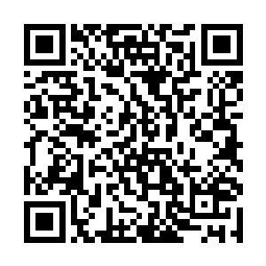 神族修士的语言与张潇晗人界所使用的语言是一样的二维码生成
