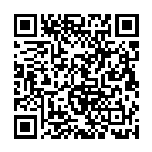 神树的那一团神魂能量中忽然迸发出一股欣喜的波动二维码生成