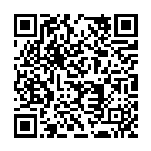 神武境界的高手已经无数年不曾在公众眼中出现了二维码生成