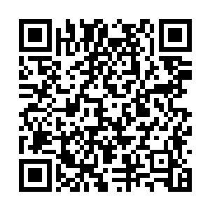 神猛城五大势力已经开始迎接他们势力强者的回归二维码生成