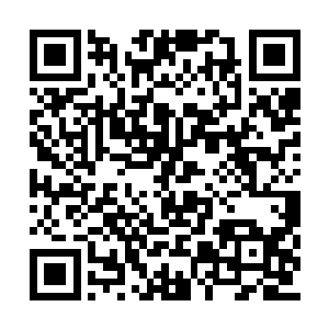 神王后期大能的手段绝非她这个神人初期能比的二维码生成