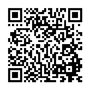 神盾城拍卖的东西都是针对于高阶强者和强大豪门的珍稀药剂呢二维码生成