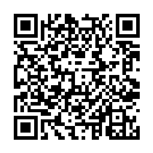 神社的人除了二十个炼气期修士和九个筑基期修士二维码生成