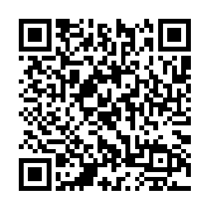 神秘的祭台瞬间就把这些人族强者的元灵全部吸收二维码生成