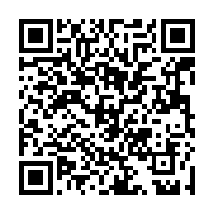 神色略微有些紧张和复杂的坐到了沈明珠的左右手位置二维码生成