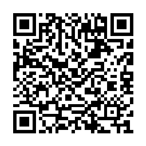 神识亲眼看见冥邪和云霄烟踏上了跨洲级传送阵二维码生成