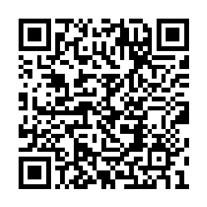 神识在段天涯的识海之内向着四面八方蔓延而去二维码生成