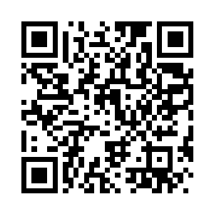 神识在火系血液的图案中构建仙阵二维码生成