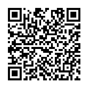 神识的辐射强度是会伴随神魂的强大而不断增长的二维码生成