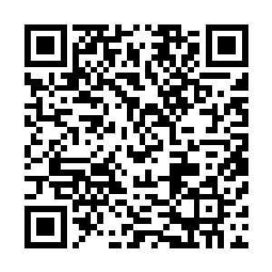 神识轻扫间很清晰的就能探查出深埋在里面的各种巨型骸骨二维码生成