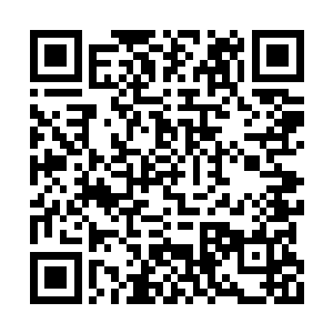 神识里模模糊糊地感觉到噬金蚁似乎在有些变化二维码生成