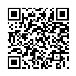 神轮树竟然在楚枫的识海当中扎根了二维码生成