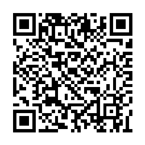 神采奕奕的抬头仰望了一眼沈氏大厦的气派场面二维码生成