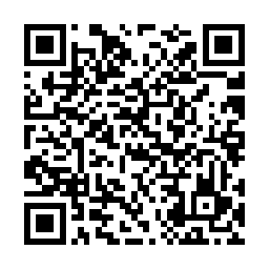 神霄派的人……被逐出门派……这辈子就算是毁了二维码生成