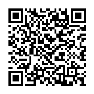 神风派还有隐魔门的人基本上一个都没有活下来二维码生成