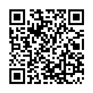 神魂中流墨墨的意识体托着下巴看着光幕二维码生成