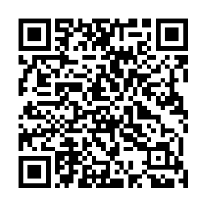神魂更是被一股莫明的恐怖气势压抑到无法生出任何念头二维码生成