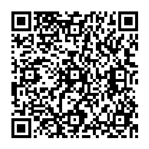 神魂深处被迫镌刻了一些非常丑恶和变态的记忆……正常人绝对承受不了我正在承受的一切二维码生成