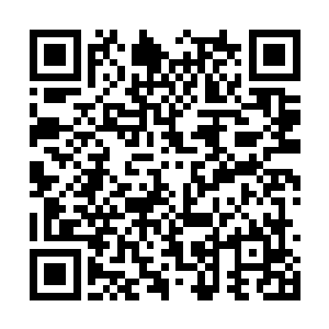 神龙摆尾说白了就是以自己的双腿去扫击敌人身体二维码生成