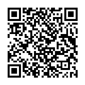 祭司大人的蜂卫们在打群架时可不会细分友方和敌方二维码生成