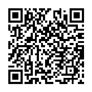 祭天雷池之中我以为可以靠着我整个刺荒一族破之二维码生成