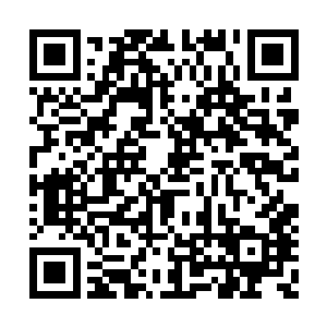 禁不住的有些迟疑起来要不要把后半截话说出来二维码生成