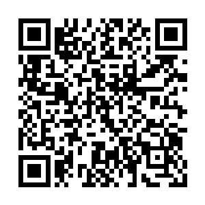 禁地内突然暴动的帝王神器也逐渐的安静了下来二维码生成